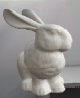 rabbit picture from thesis